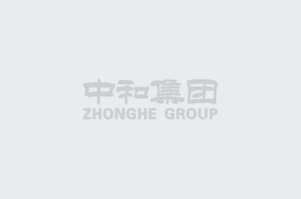 乐东县县委孙世文书记一行莅临尊龙新版人生就是博集团考察